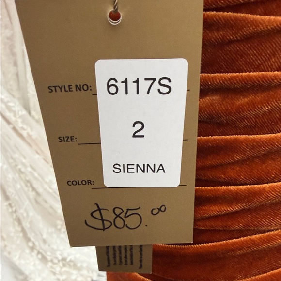 Chic One-Shoulder Velvet Dress in Burnt Orange - Picture 2 of 3